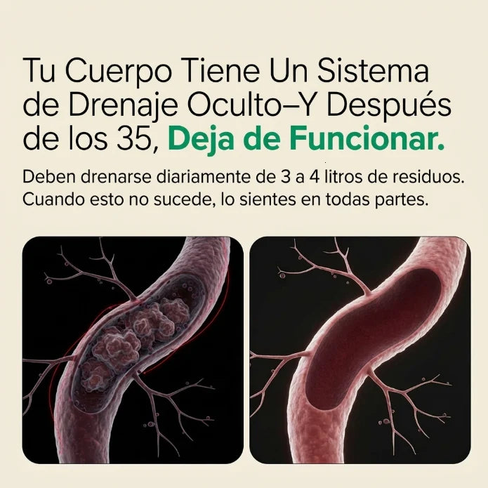 Comparación entre soluciones temporales y rutina herbal diaria