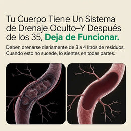 Comparación entre soluciones temporales y rutina herbal diaria